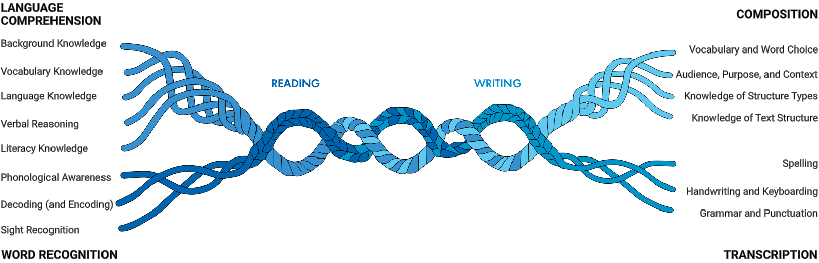 Phonics, Reading & Me graphic showing the Reading Rope model, illustrating how foundational skills support reading comprehension in early literacy instruction.
