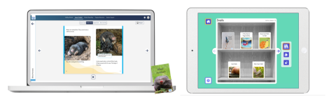 Decodables in Phonics, Reading, and Me